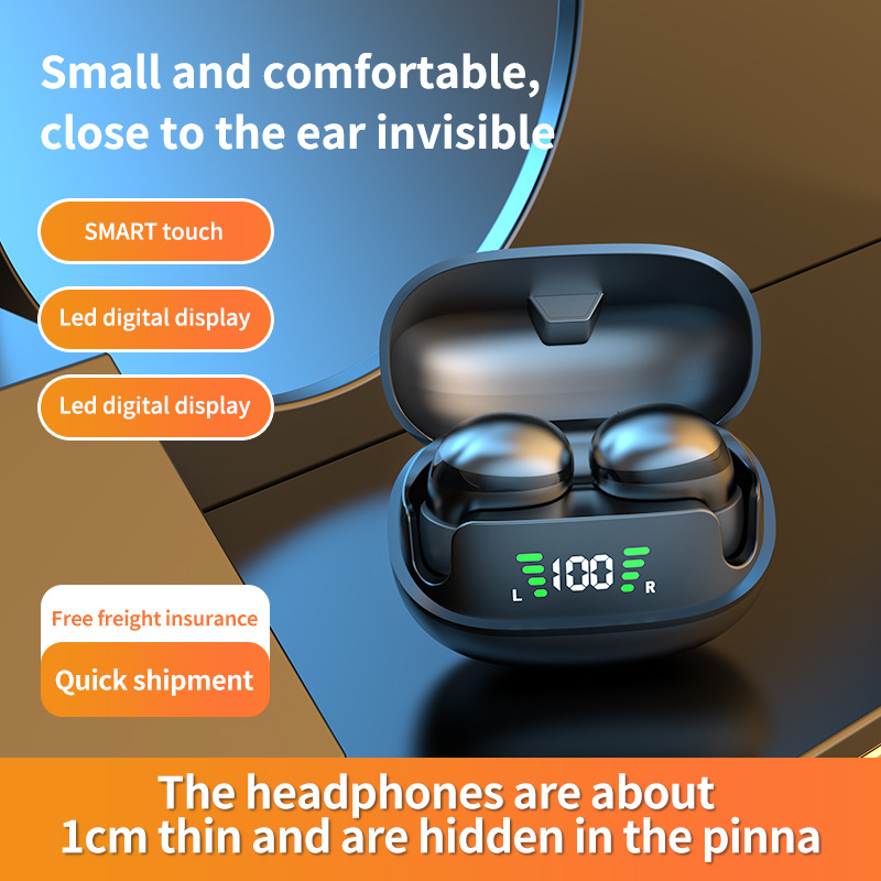 Mini Wireless TWS Bluetooth 5. – Wireless Earbuds Tws Bewertung und Preis